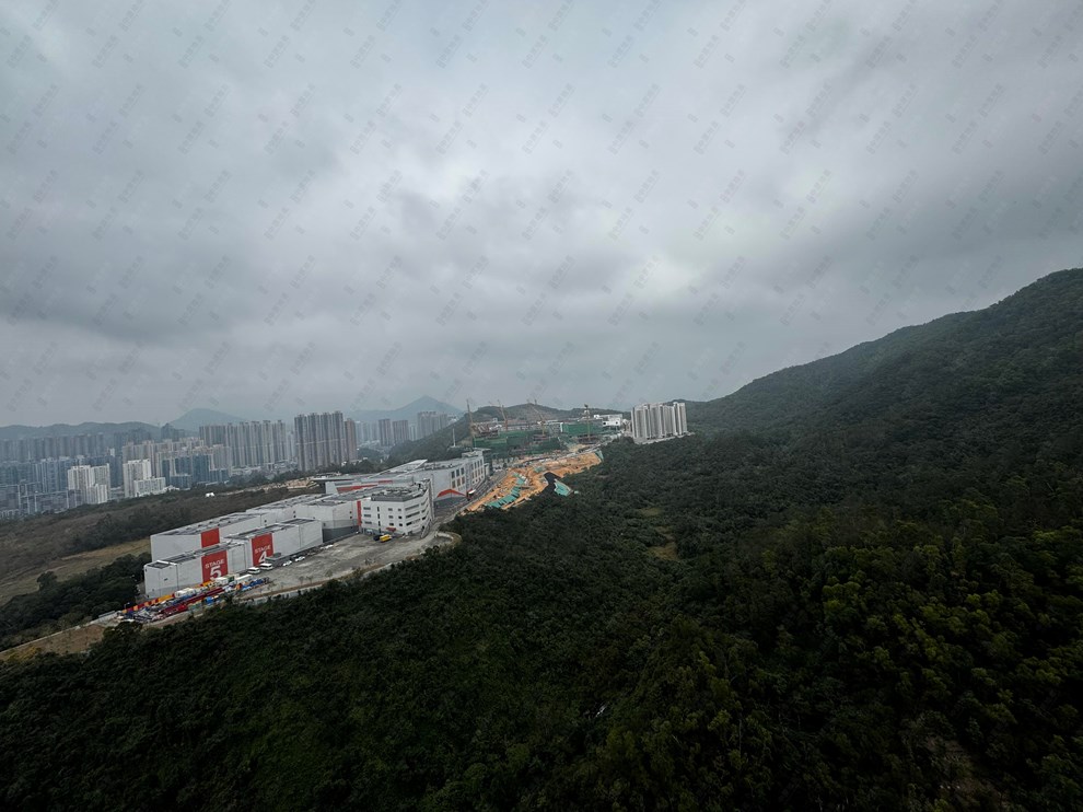 窗外景觀-由露台