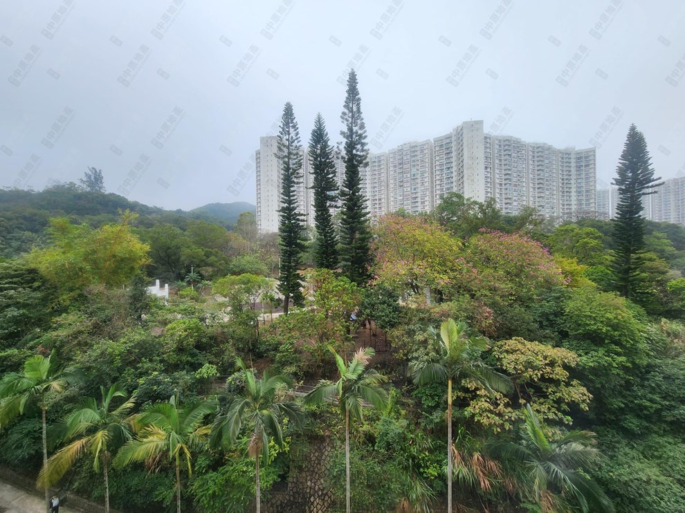 窗外景觀-由睡房