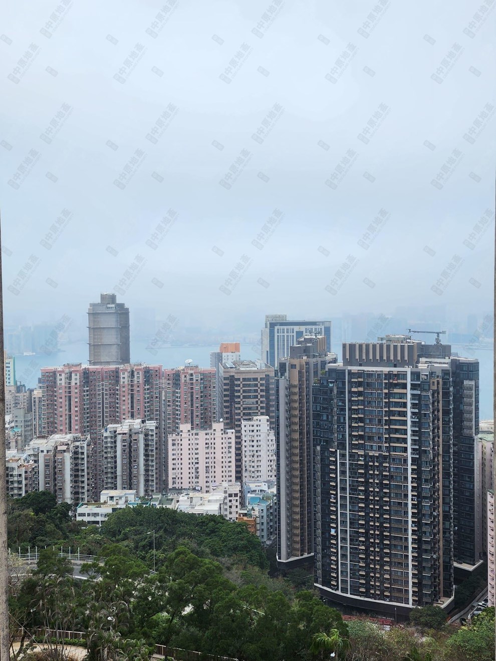 窗外景觀-由客廳