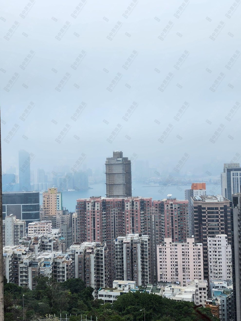 窗外景觀-由客廳