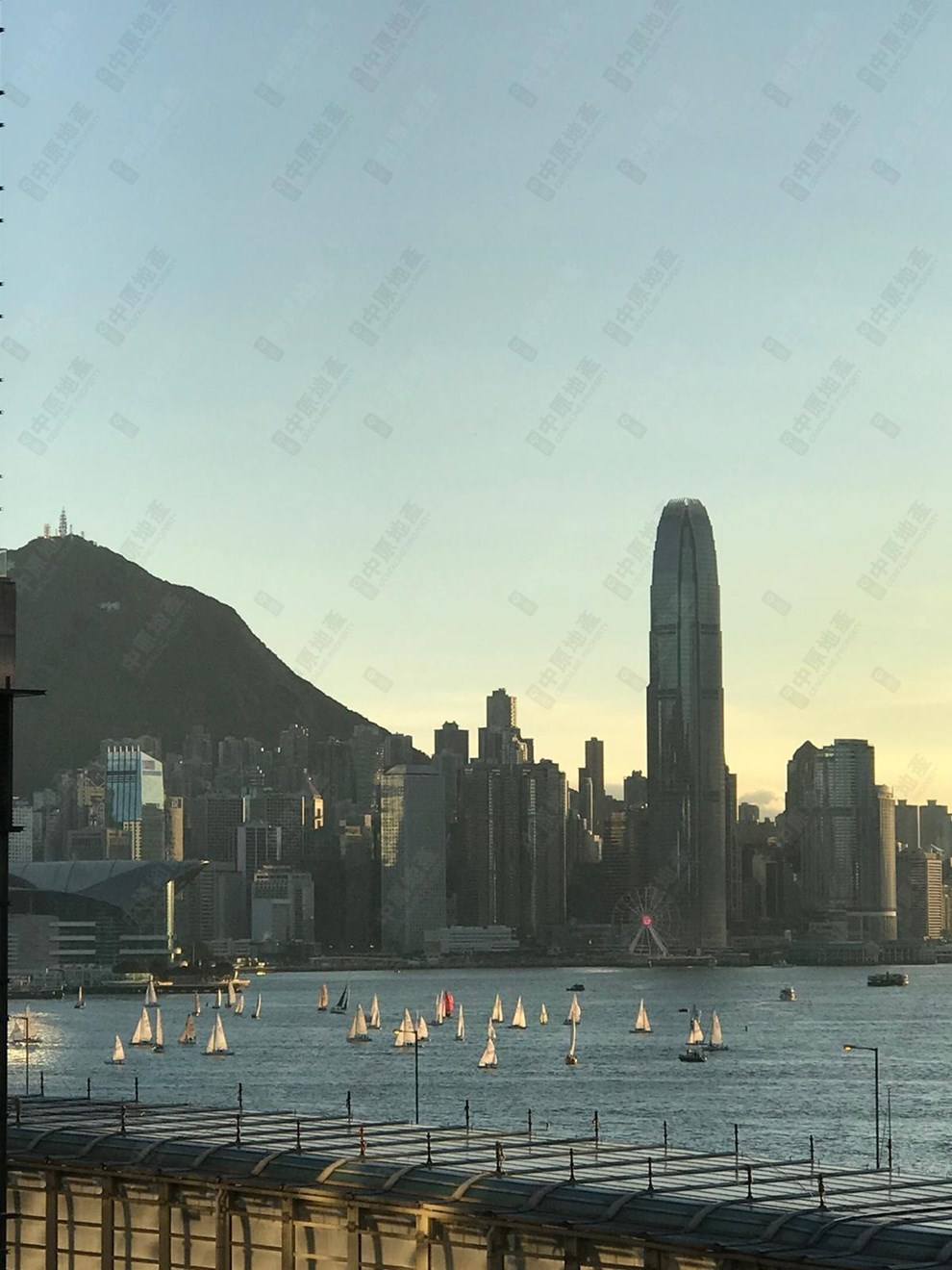窗外景观-由客厅