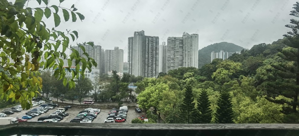 窗外景观-由露台