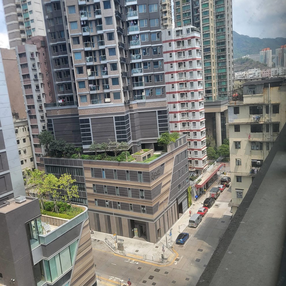 窗外景观-由客厅