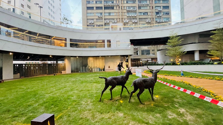 雨后, 相片