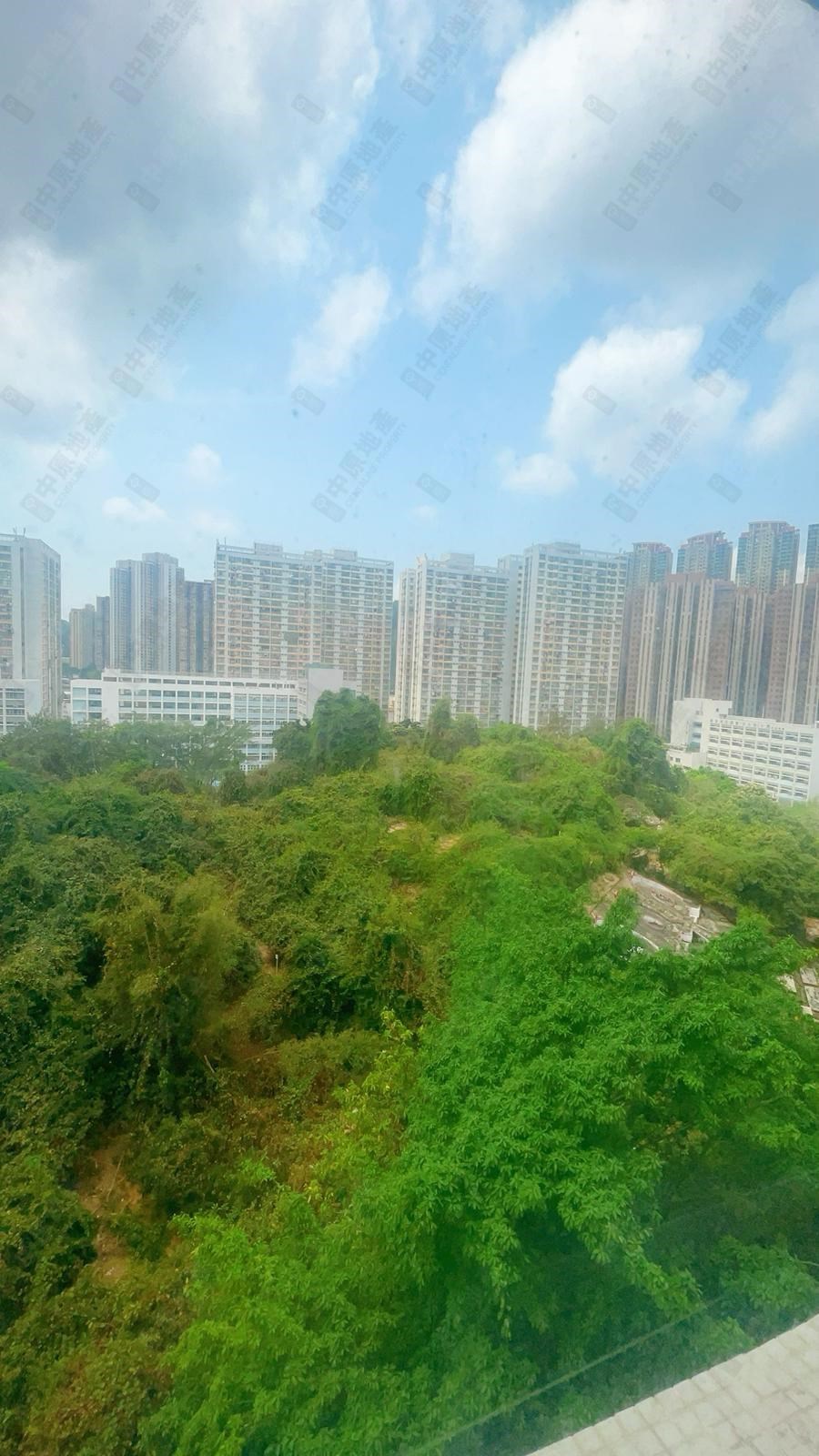 窗外景觀-由客廳