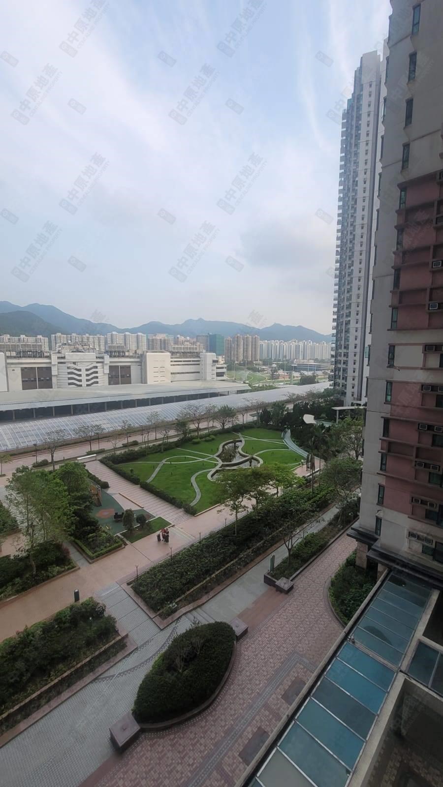 Outside View-From Living Room
