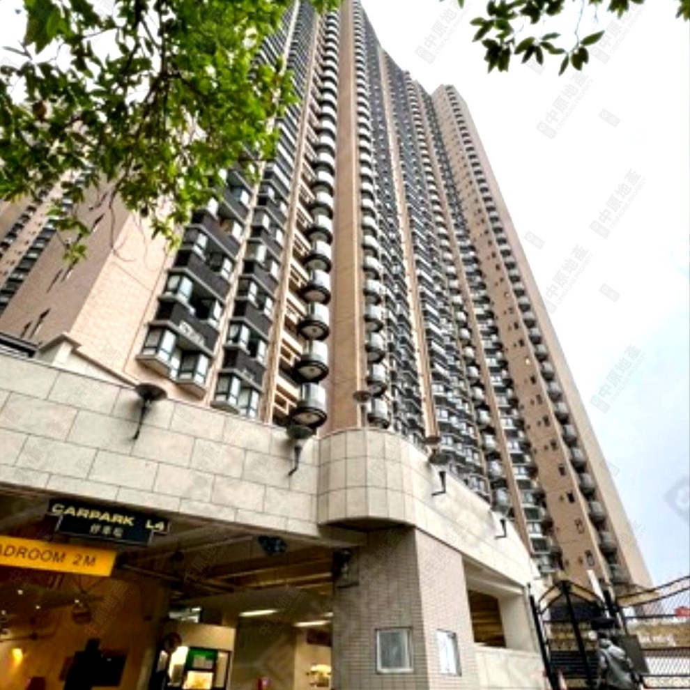 Building-Outlook