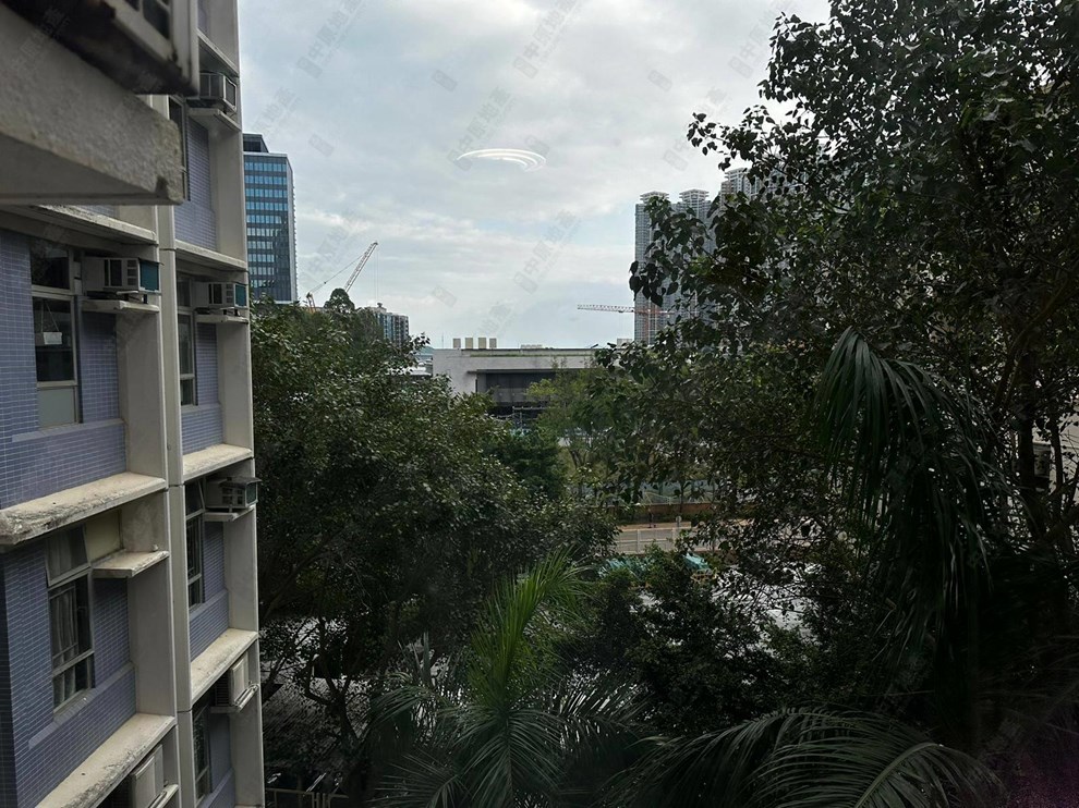 Outside View-From Living Room