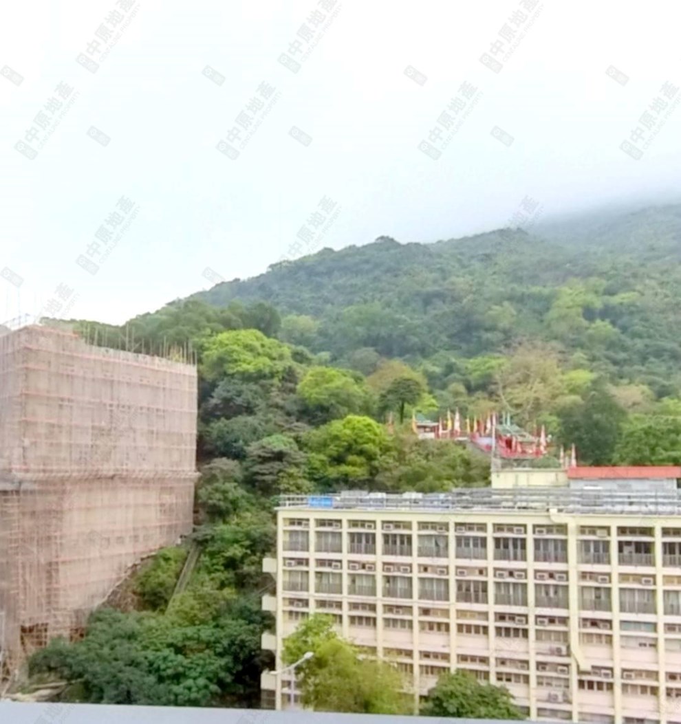 窗外景觀-由客廳