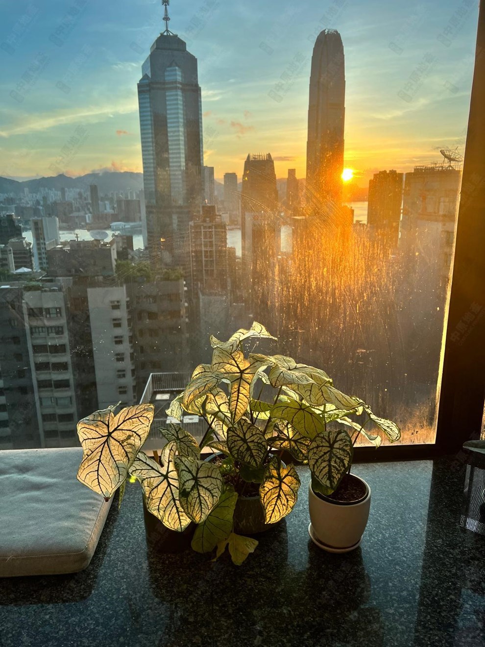 Outside View-From Living Room