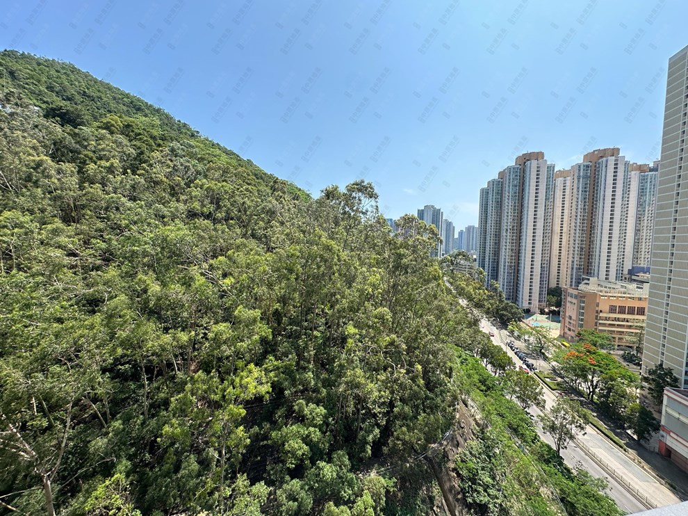 Outside View-From Balcony
