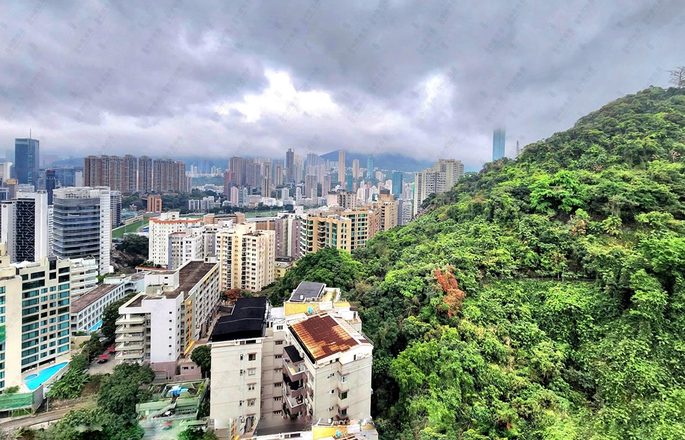 窗外景觀-由客廳