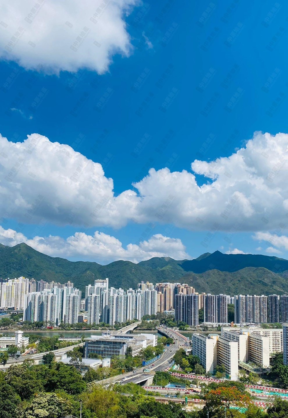 窗外景觀-由飯廳