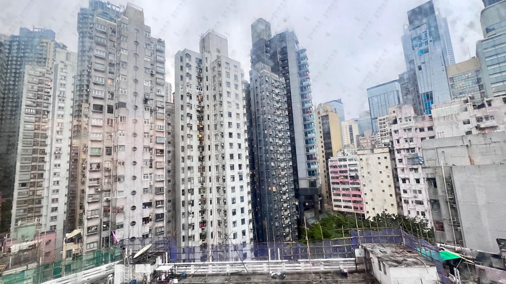 窗外景觀-由客廳