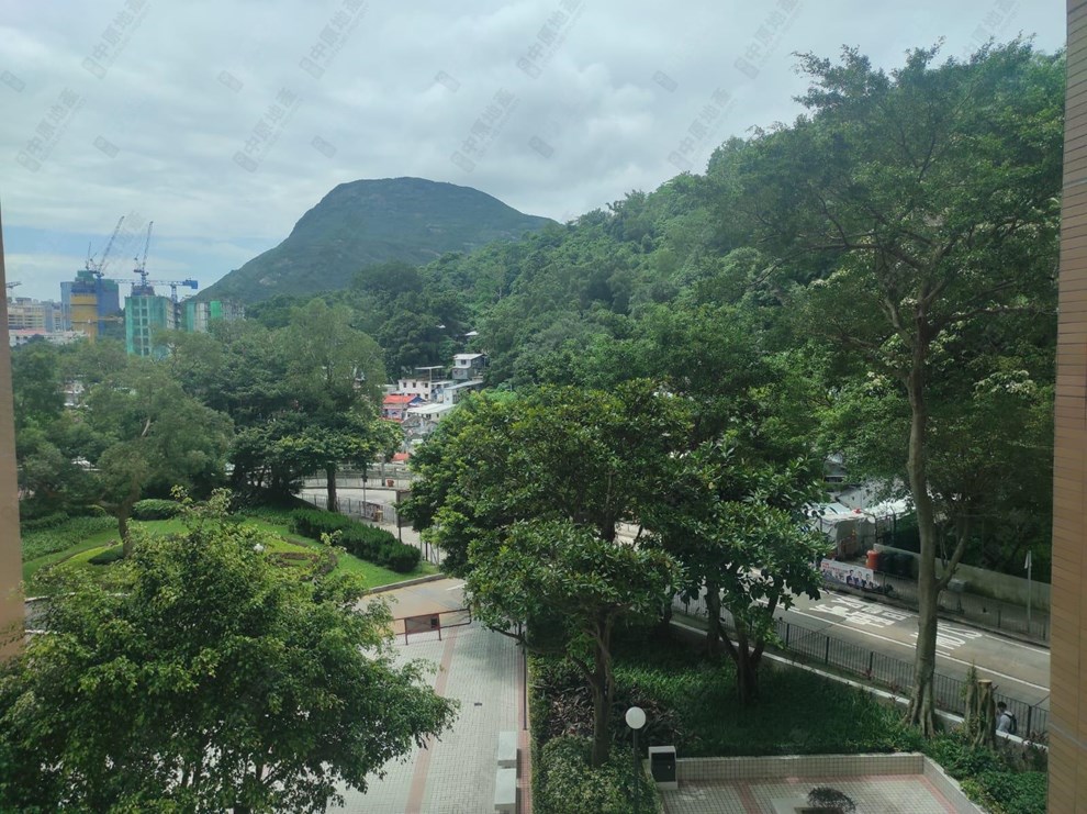 窗外景觀-由客廳