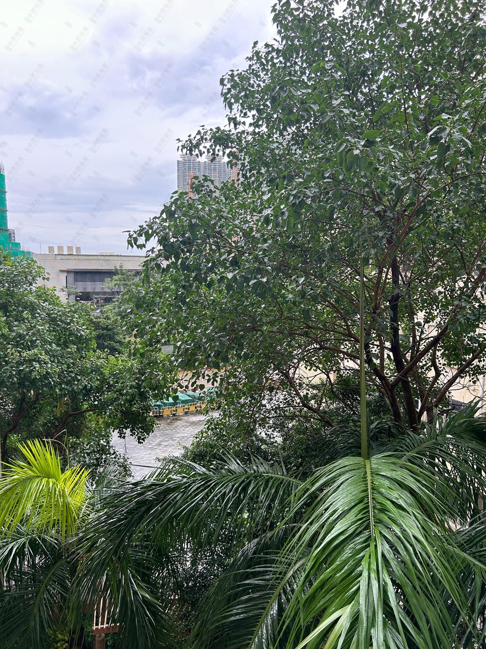 Outside View-From Living Room