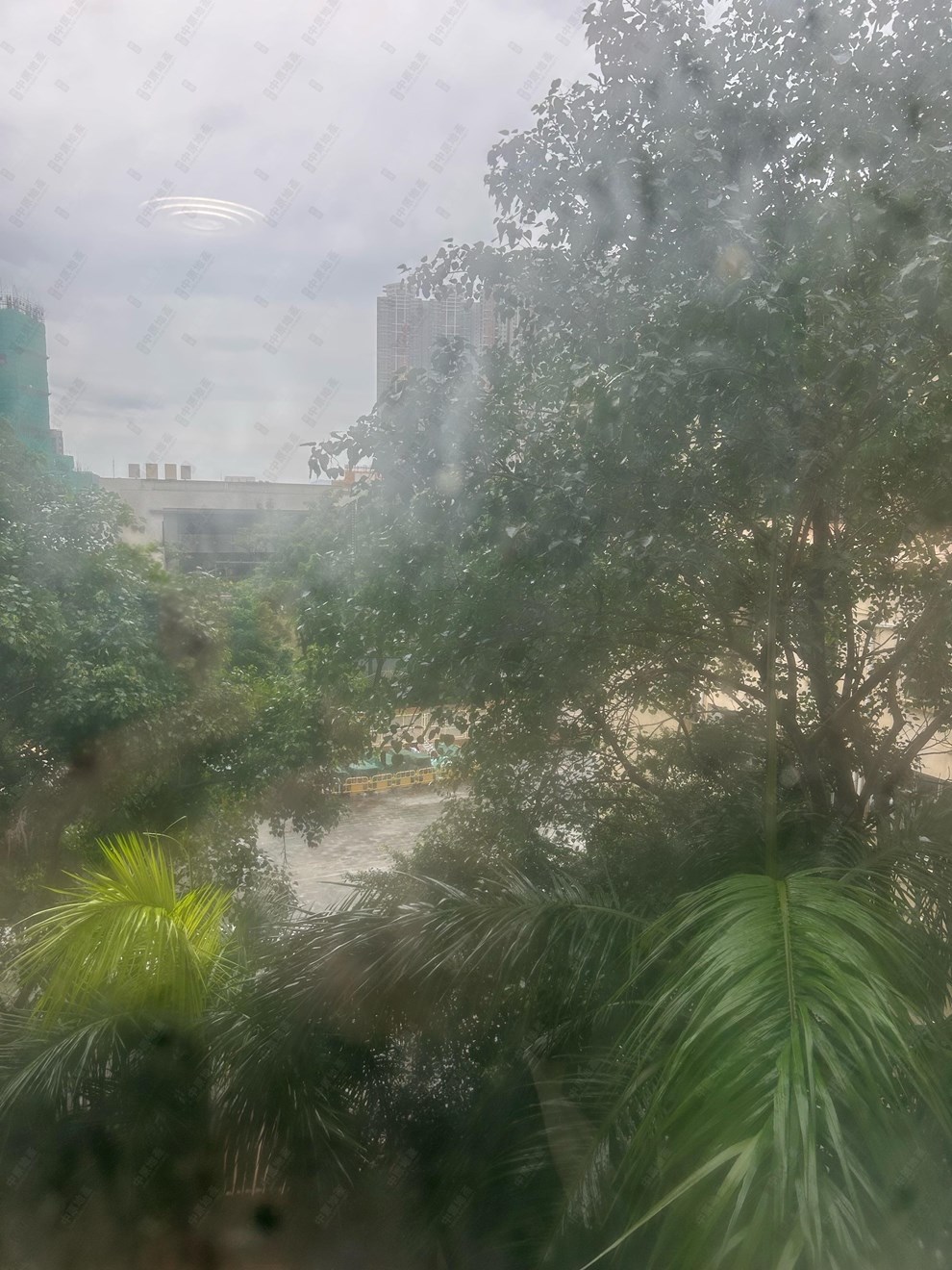 Outside View-From Living Room