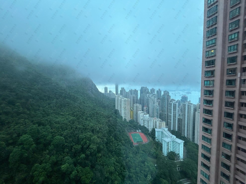 窗外景观-由客厅