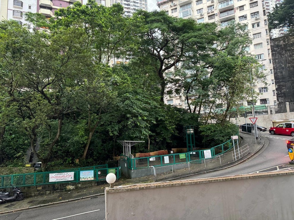 窗外景觀-由客廳