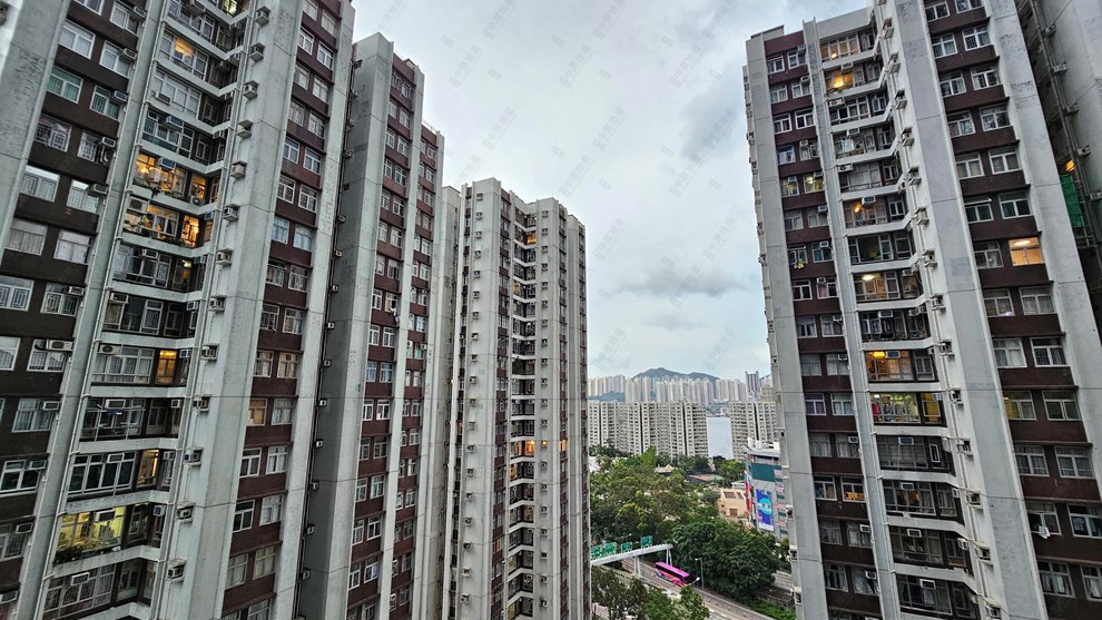 窗外景觀-由露台