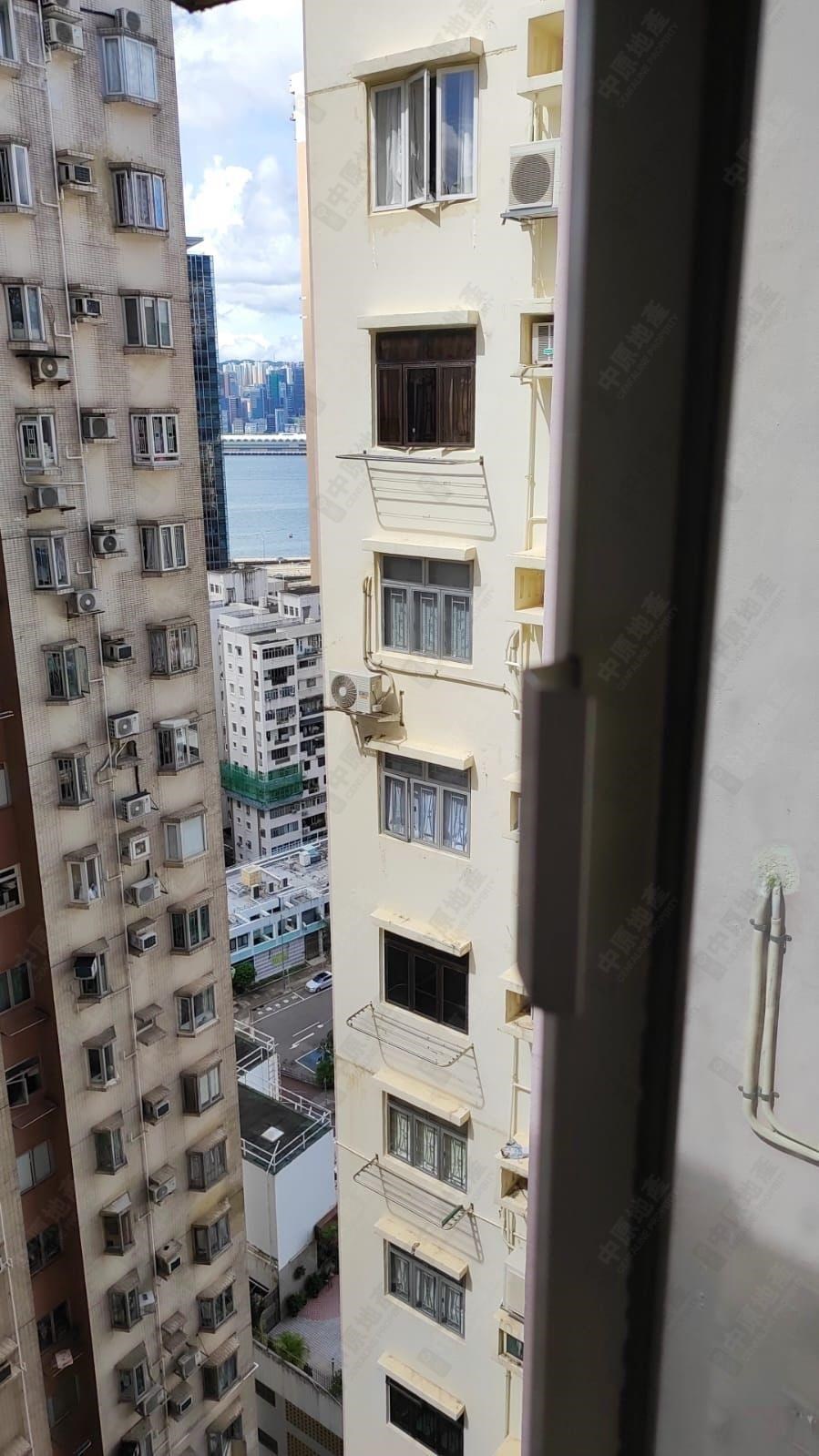 窗外景观-由主人房