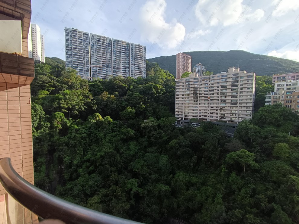 窗外景觀-由露台