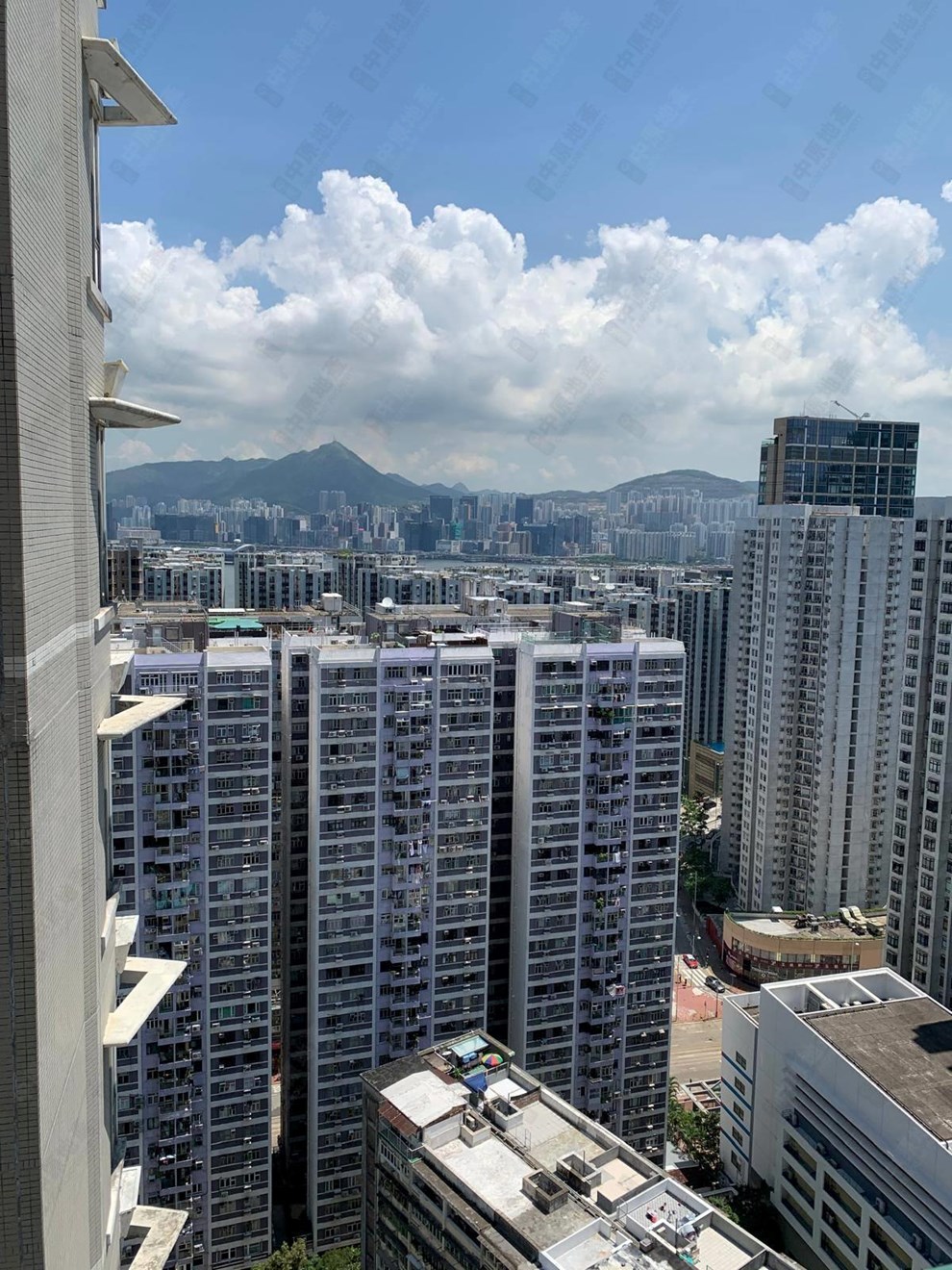 窗外景觀-由露台