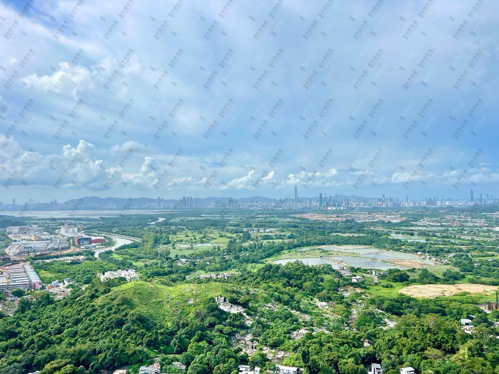 窗外景觀-由客廳