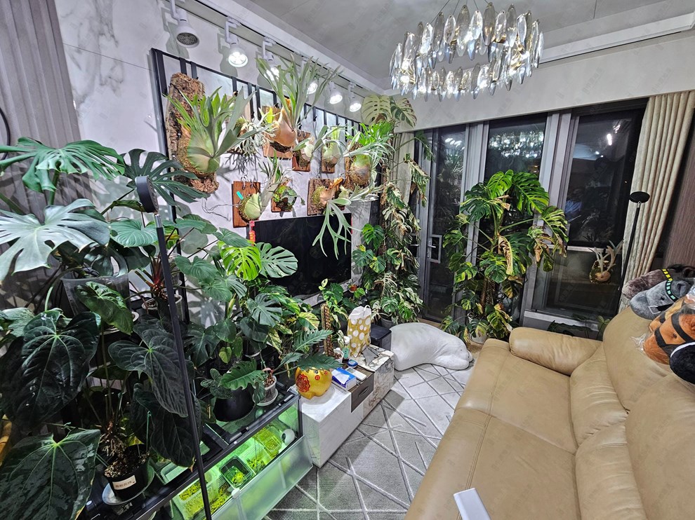 Unit Interior-Living Room