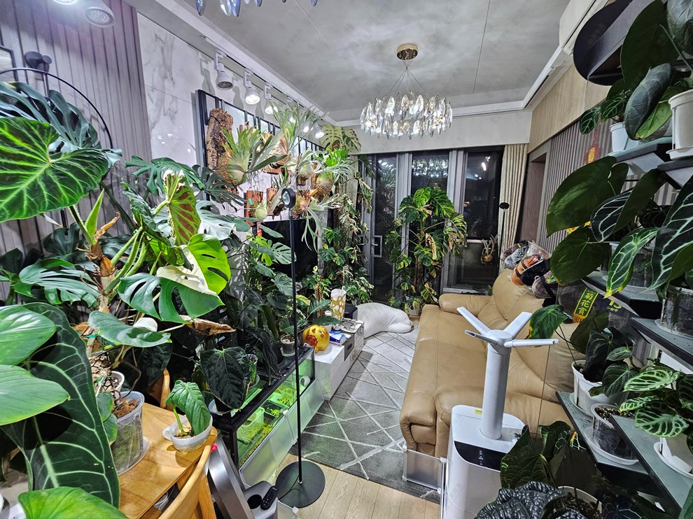 Unit Interior-Living Room