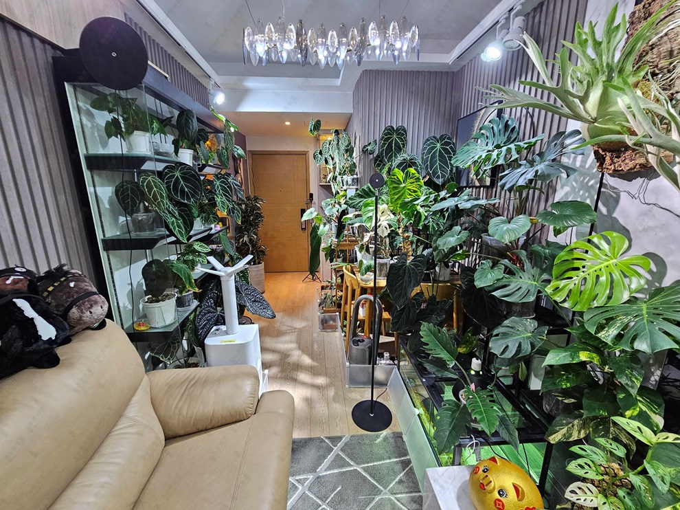 Unit Interior-Dining Room