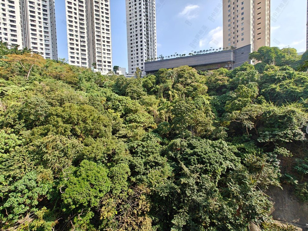 窗外景觀-由客廳