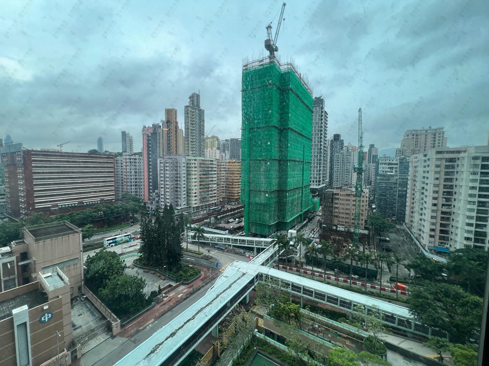 窗外景观-由客厅