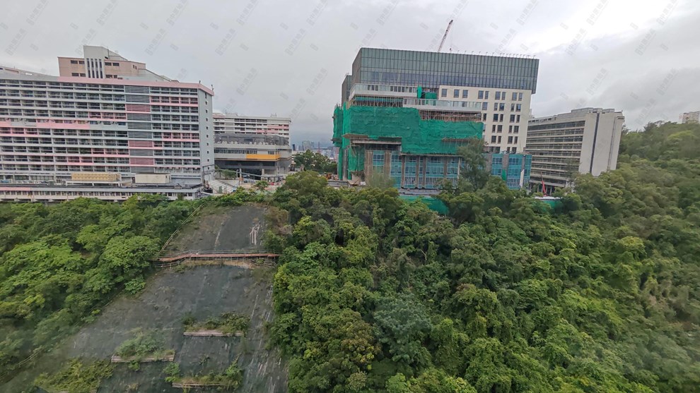 Outside View-Open View