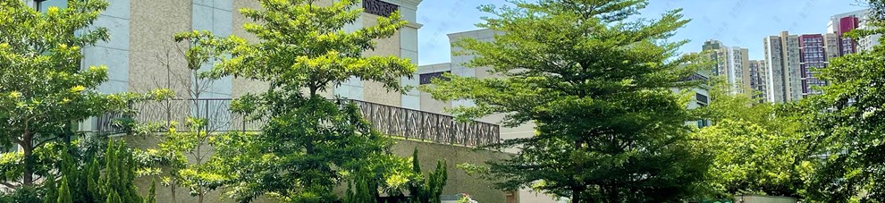 外觀