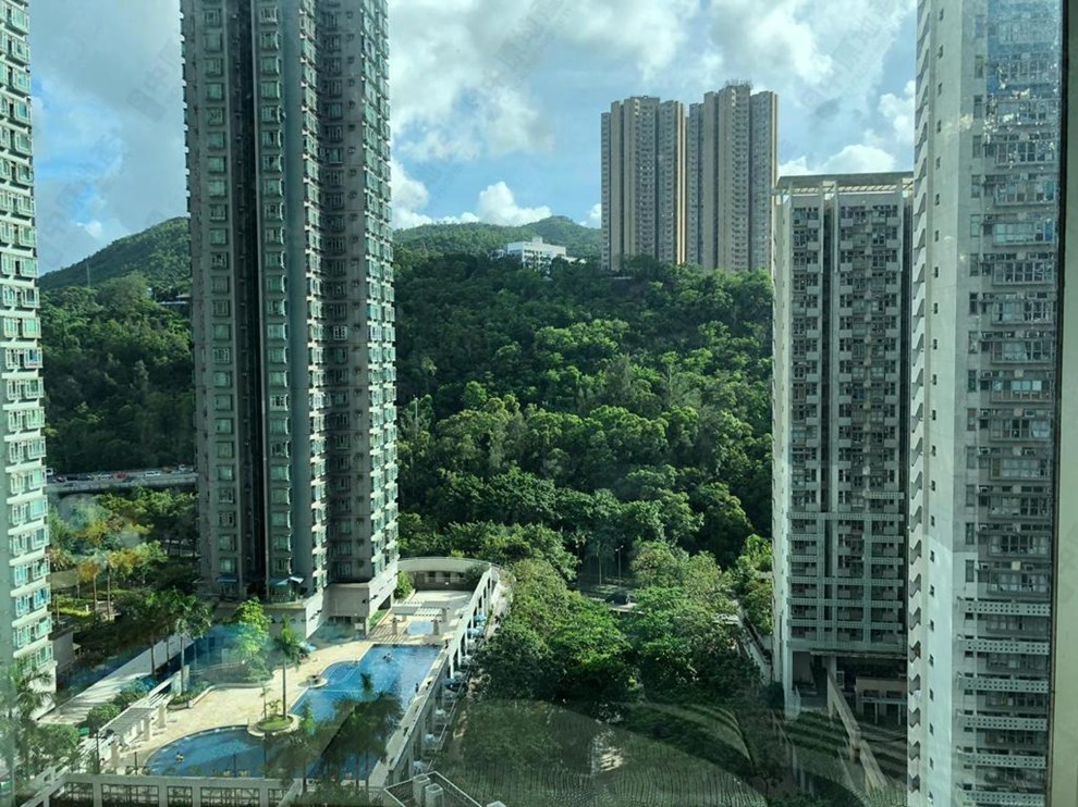 窗外景觀-由客廳