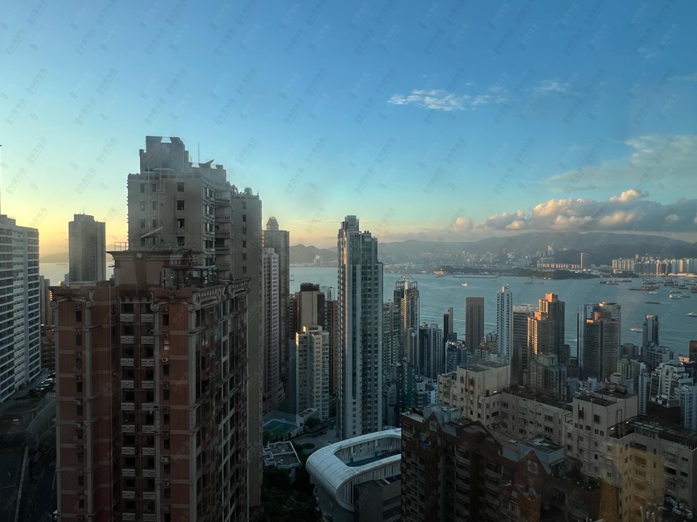 窗外景觀-由客廳