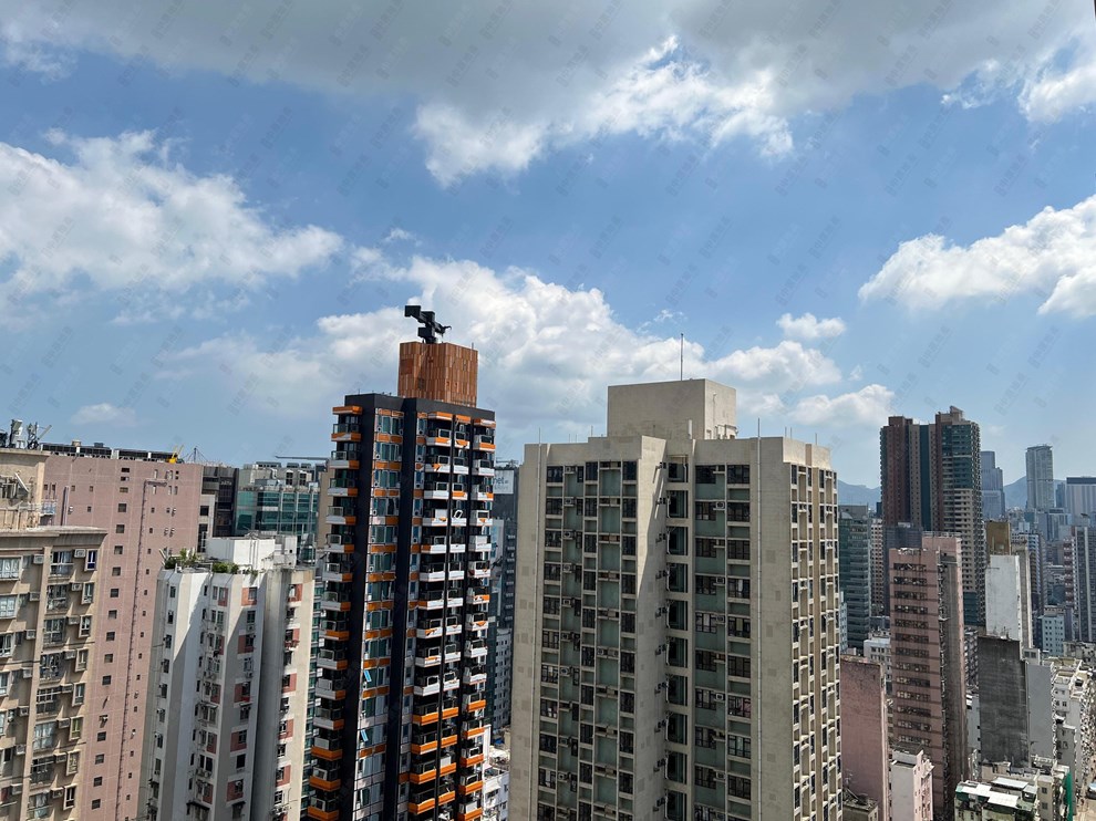 窗外景觀-由露台