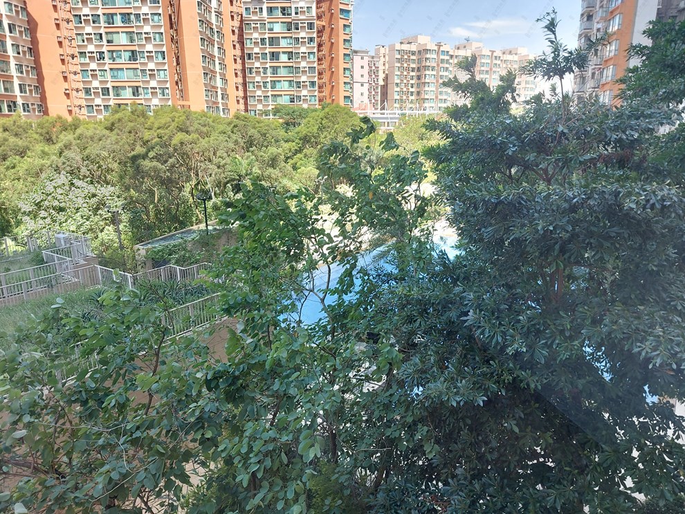 Outside View-From Living Room