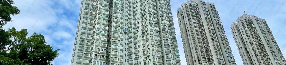外觀