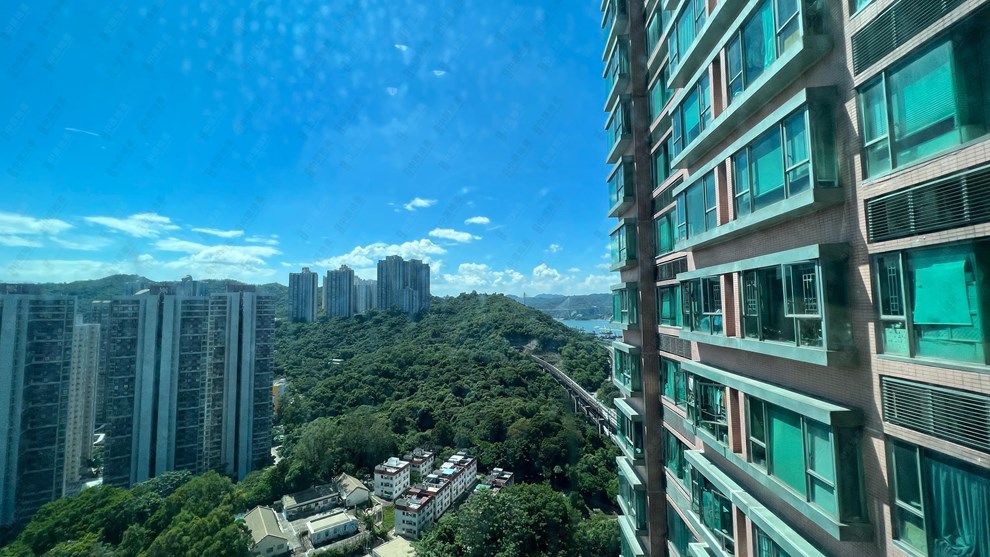 Outside View-From Bedroom