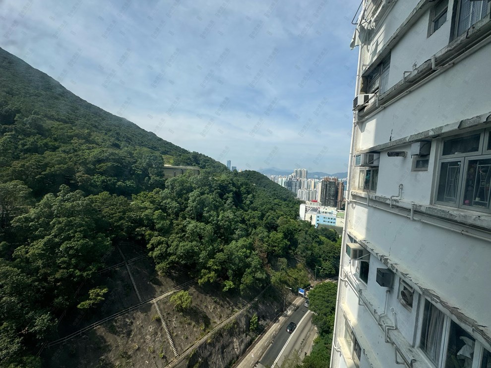 Outside View-From Living Room