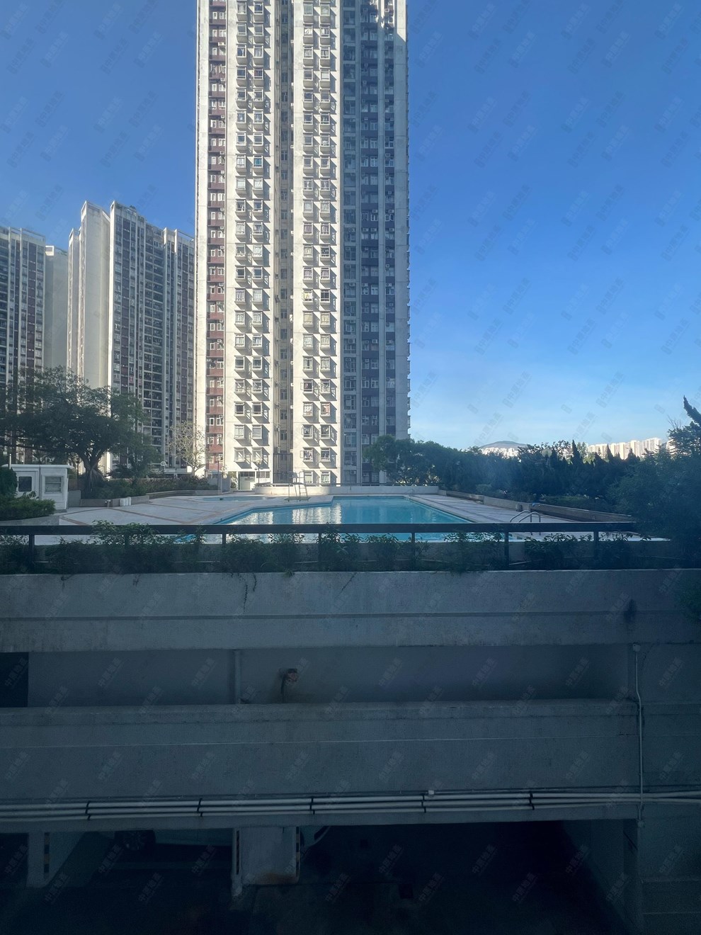 窗外景观-池景