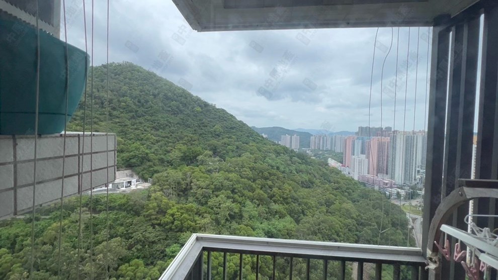 窗外景觀-由客廳