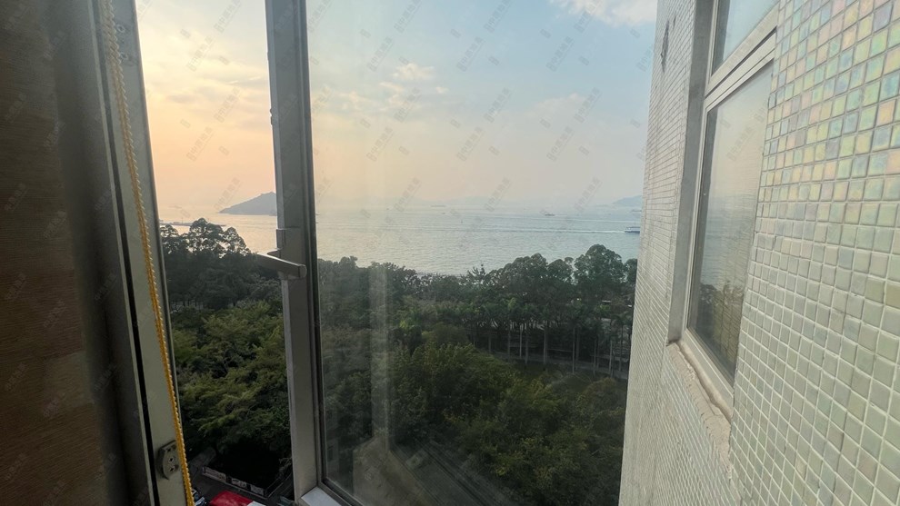 窗外景觀-由客廳