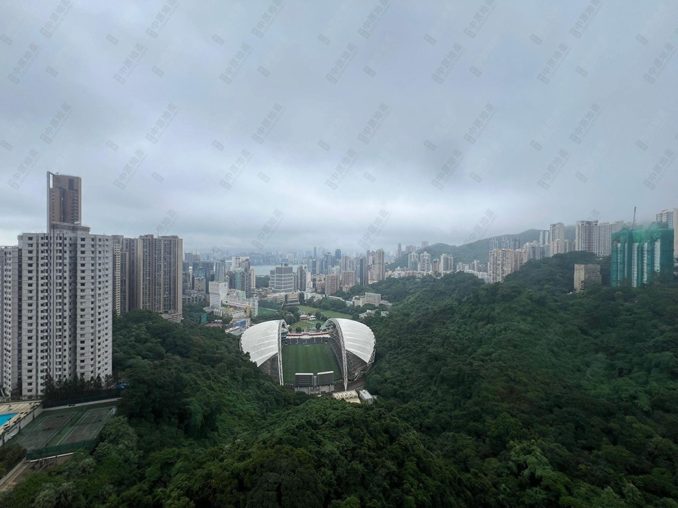 窗外景觀-由客廳