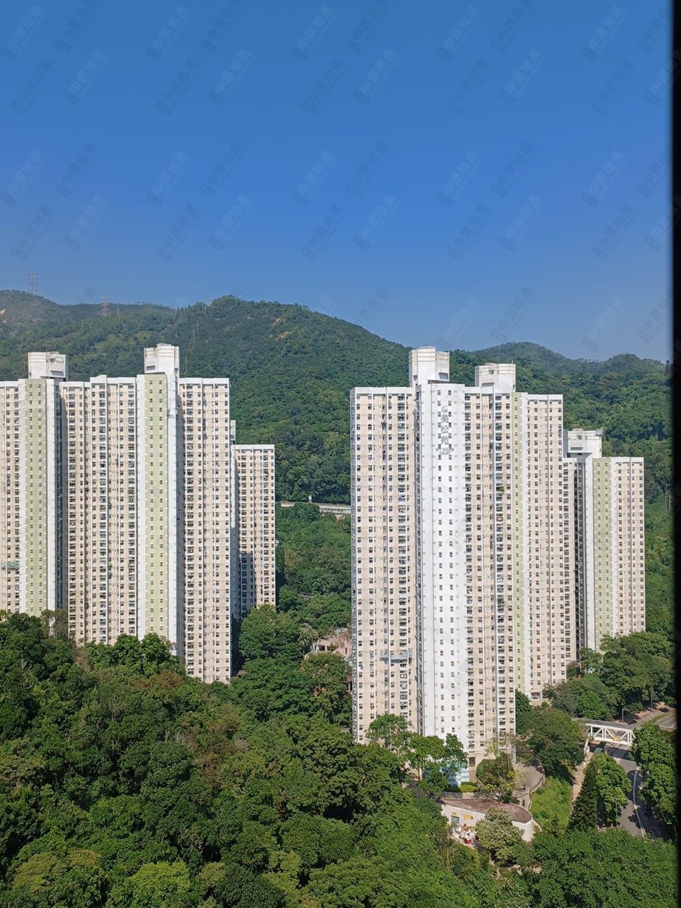 窗外景觀-由客廳
