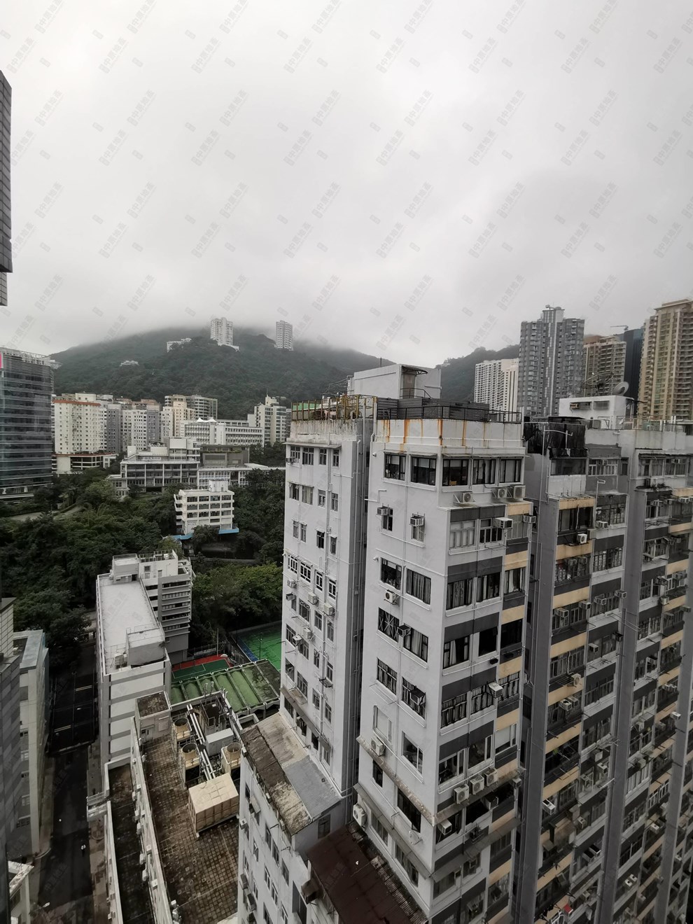 窗外景觀-由露台