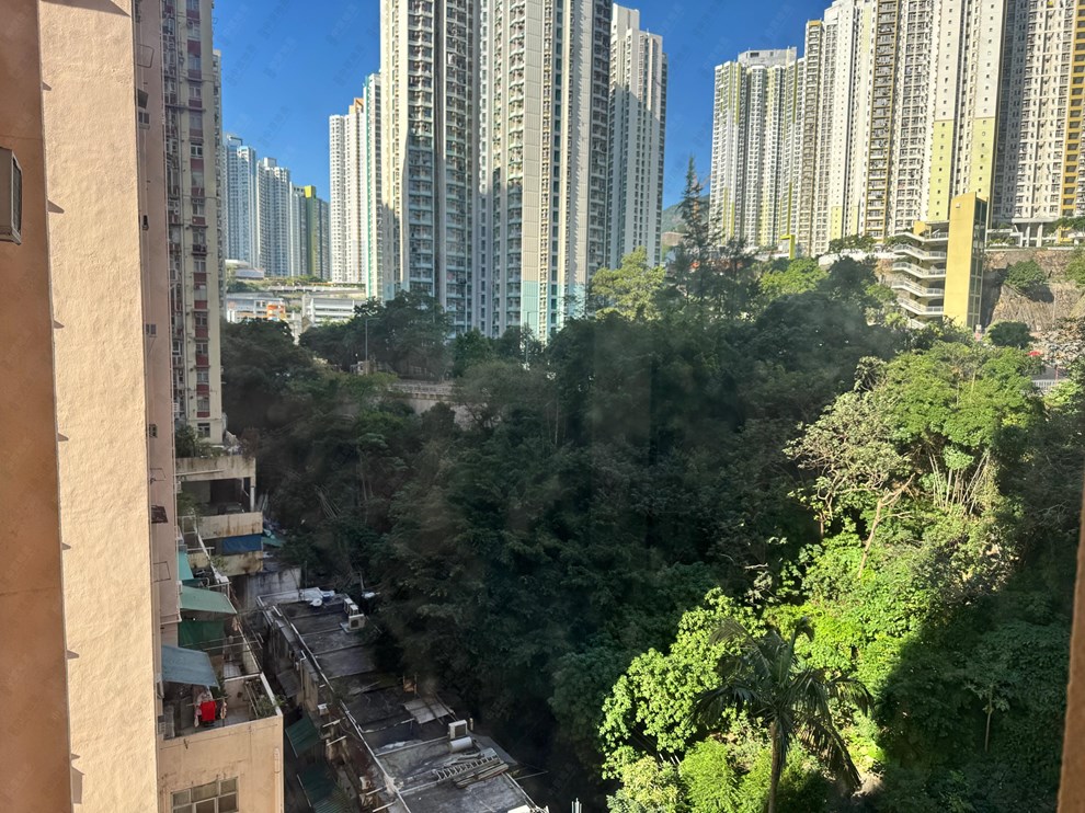 Outside View-From Living Room