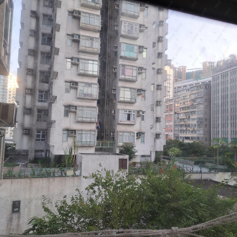 窗外景觀-由客廳